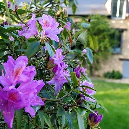 Couette-café Le Clos Des Noues Hermeray