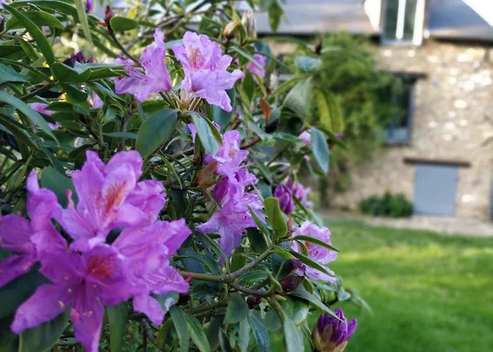 Bed and breakfast Le Clos Des Noues